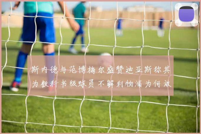 斯内德与范博梅尔盛赞迪亚斯称其为教科书级球员不解利物浦为何放弃他
