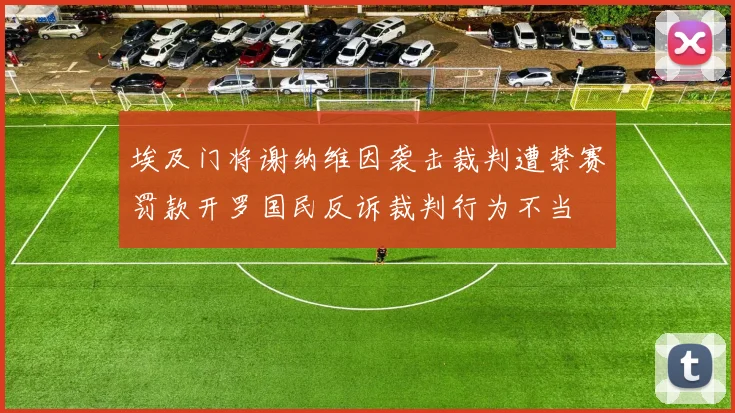 埃及门将谢纳维因袭击裁判遭禁赛罚款开罗国民反诉裁判行为不当