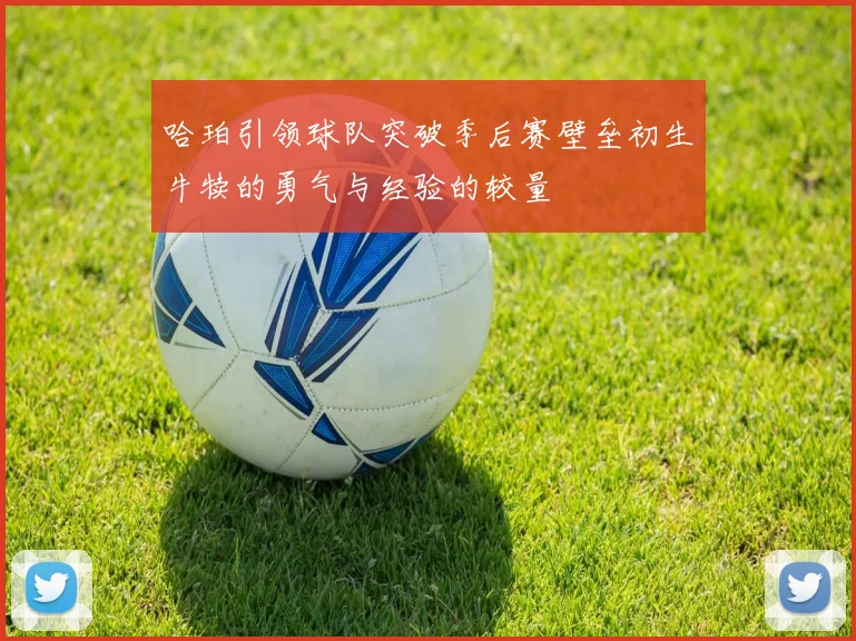 哈珀引领球队突破季后赛壁垒初生牛犊的勇气与经验的较量