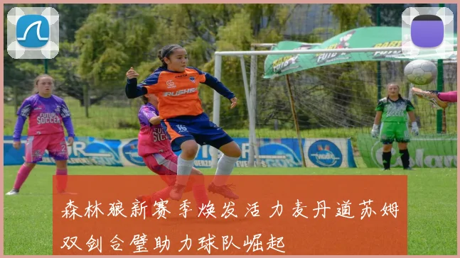 森林狼新赛季焕发活力麦丹道苏姆双剑合璧助力球队崛起